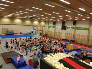 Orland Gymnastics