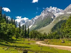 Thajiwas Glacier