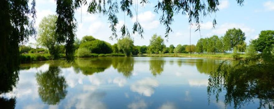 Etang des Orbidas