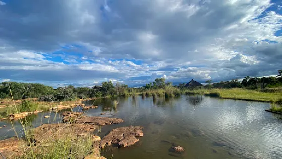 Madikela Game Lodge
