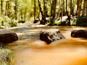 Parque Geologico