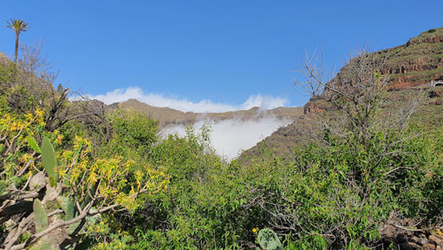 Mirador de El Palmarejo