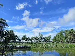 Tetulia River