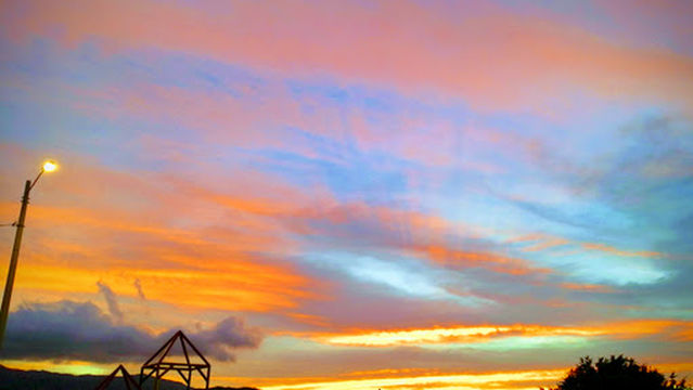 Sports Plaza Metropolis