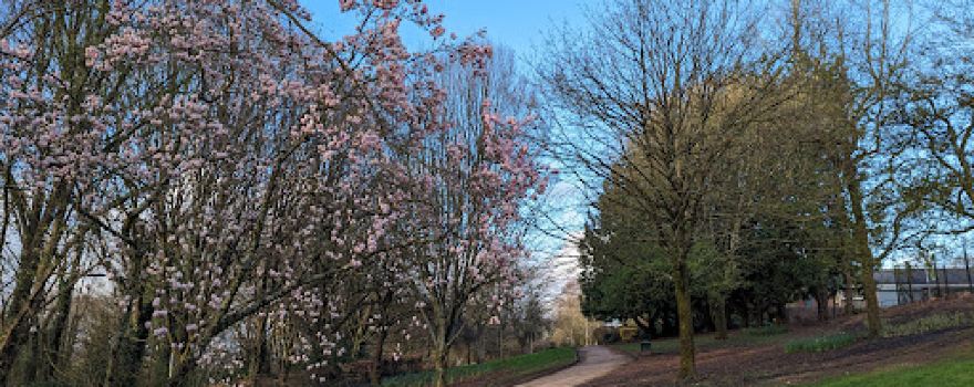 Rumney Hill Gardens