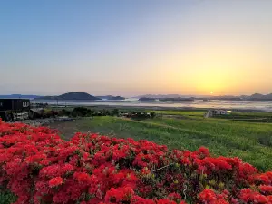 Jungsan Sunset Observatory