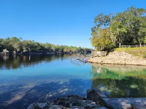 Little River Springs