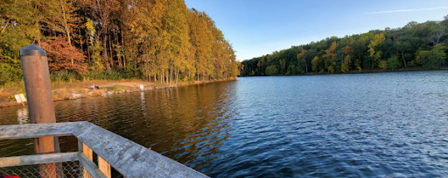 Black Hill Boat Rental
