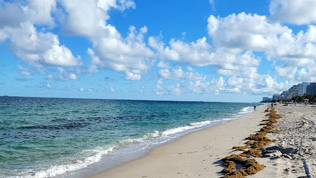 Fort Lauderdale Dog Beach