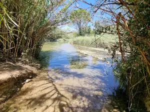 Area Recreativa Rio Cabriel