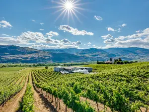 Black Hills Estate Winery