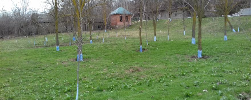 Parc