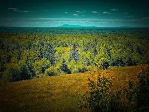 Million Dollar View Scenic Outlook