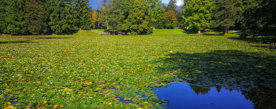 Jezero - Brdo