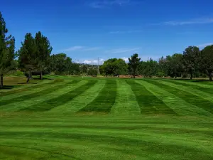 Scott Park