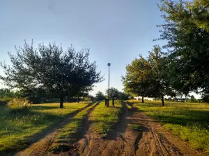 Club Barrio Alegre