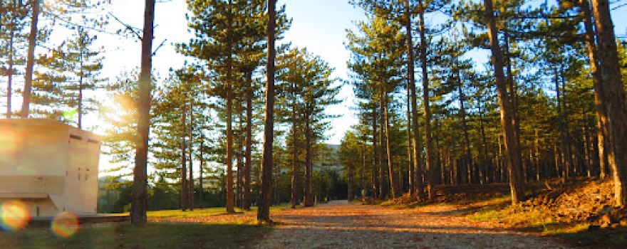 Le JARDIN & Le BOIS de MADELIE