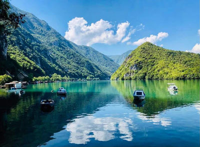 Tara national park