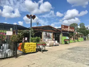 The Plant Shack