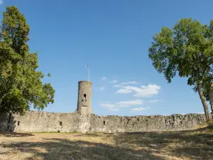 Gössenheim Castle
