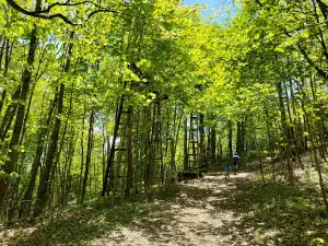 Hogback Mountain Conservation Area