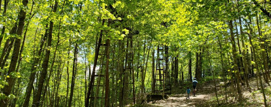Hogback Mountain Conservation Area