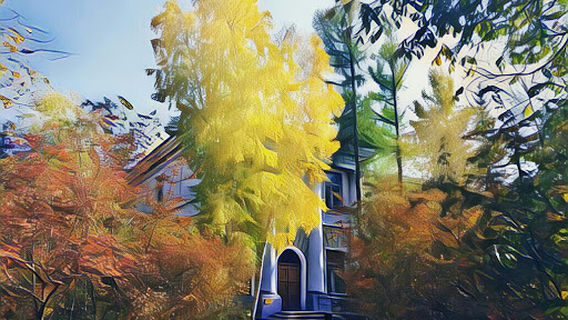 Zabaykal'skiy Krayevoy Krayevedcheskiy Muzey Imeni A.k. Kuznetsova