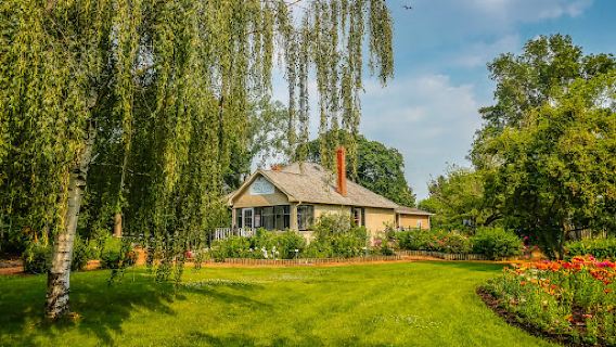 The Arboretum At Trochu