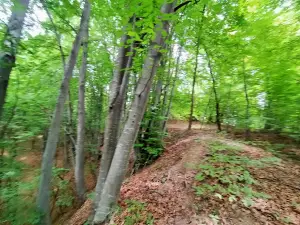 Râul Alb