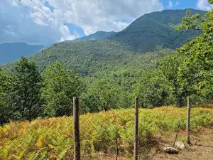 Cerrus Il Parco della Quercia