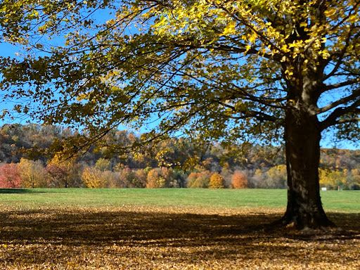 Tinicum Park