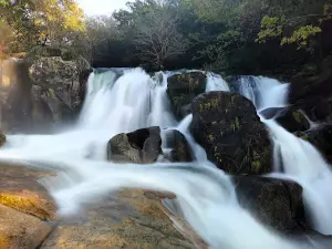 Fervenza Da Noveira