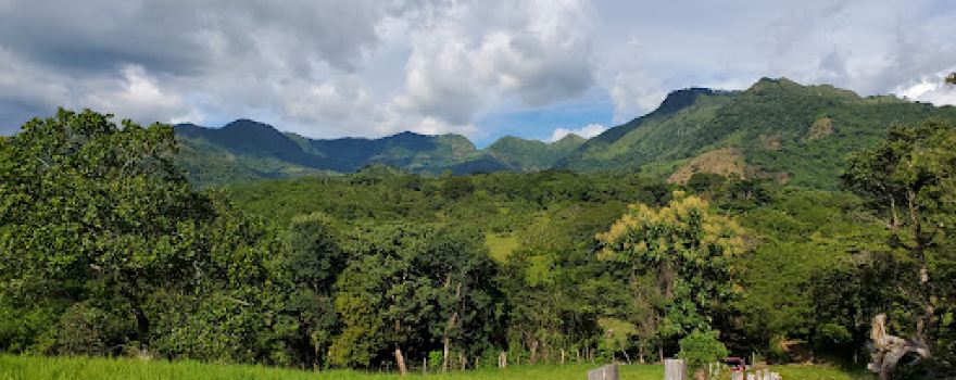 Bosque Petrificado El Dragon