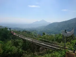 Sendi Adventure