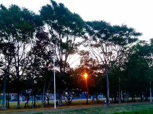 Environmental Park Chico Mendes