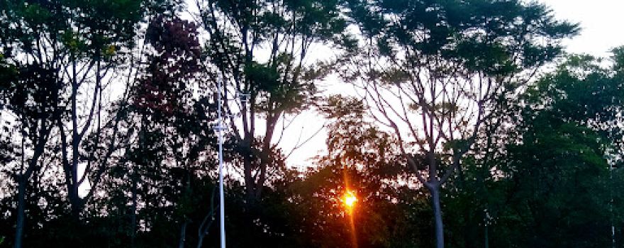 Environmental Park Chico Mendes