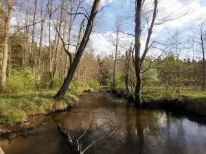 Kościółek - Grodzisko