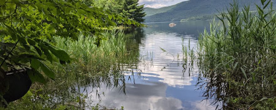 Lefferts Pond