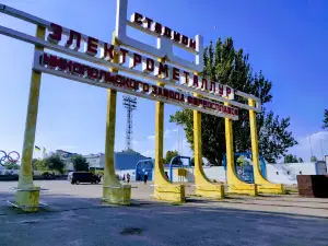 Stadion "Elektrometalurh"