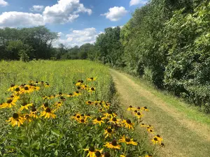 Sangamon River Forest Preserve