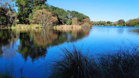 Virginia Lake Reserve
