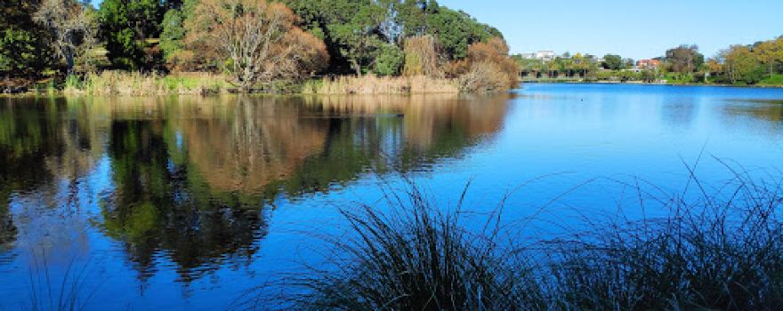 Virginia Lake Reserve