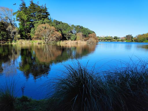 Virginia Lake Reserve
