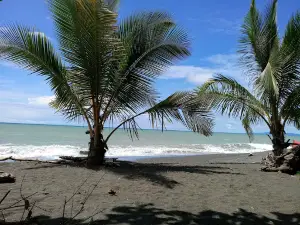 Playa Mata Oscura