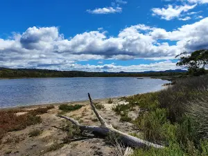 Winifred Curtis Reserve