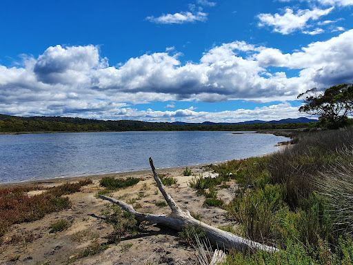 Winifred Curtis Reserve