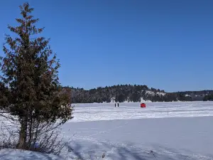 Порт Сидней Бич
