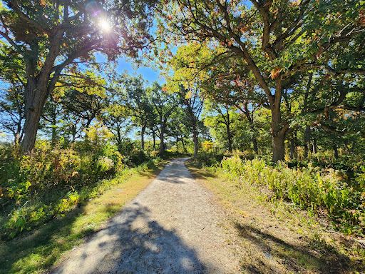 Sand Ridge Savanna Nature Preserve