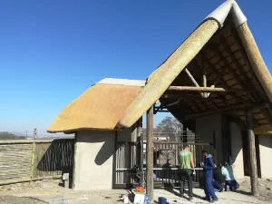 Trenchgula Game Farm & Guest Lodge