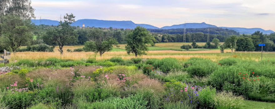 Garten Funke